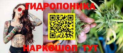 мдпв Новокубанск