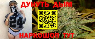 мдпв Новокубанск