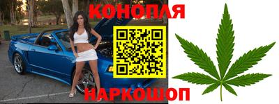 jwh Новодвинск