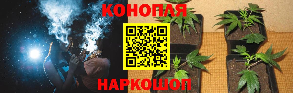 Марихуана конопля  Канабис Amnesia  Марихуана VHQ  Уварово  МАРИХУАНА конопля  Вход с VPN 